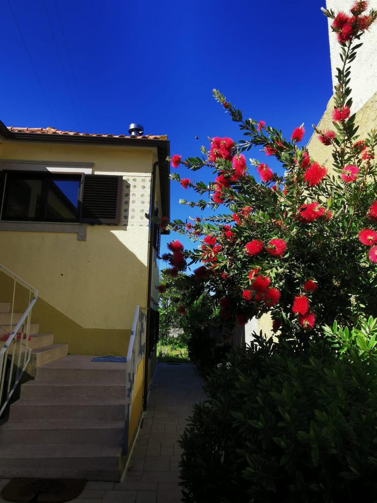 Casa Sao Pedro Belinho Only Pilgrims Bed and Breakfast Buitenkant foto